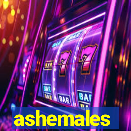 ashemales