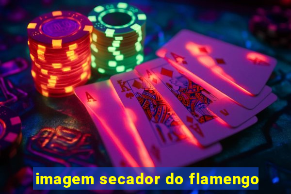 imagem secador do flamengo