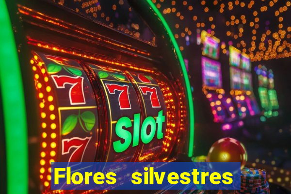 Flores silvestres brasileiras 25