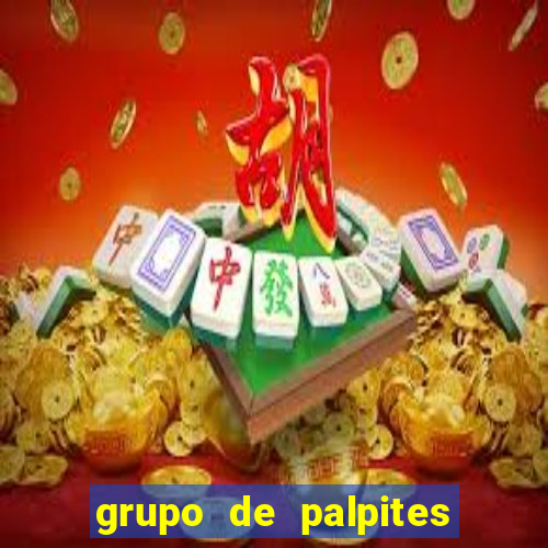 grupo de palpites de futebol whatsapp