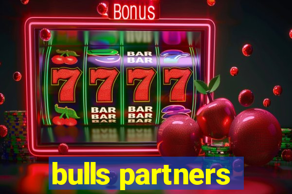 bulls partners