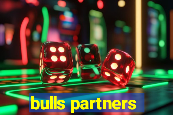 bulls partners