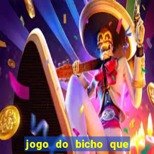 jogo do bicho que paga no pix