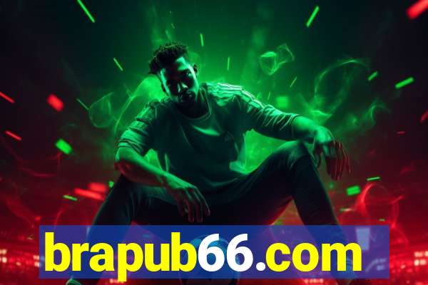 brapub66.com