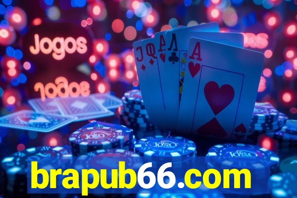 brapub66.com