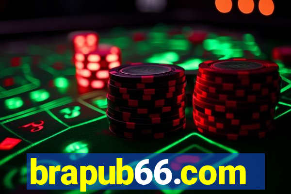 brapub66.com