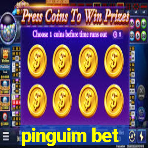 pinguim bet