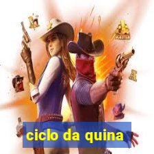 ciclo da quina