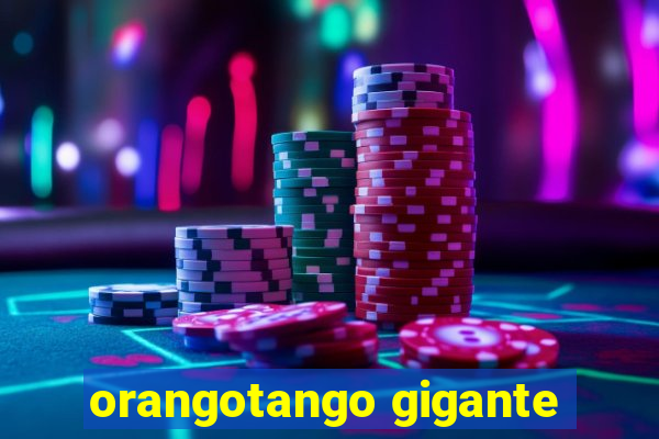 orangotango gigante