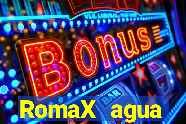 RomaX agua sanitaria fispq agua sanitaria romax