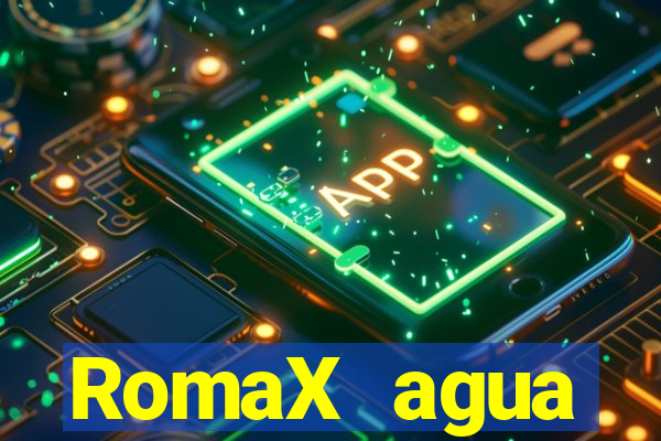 RomaX agua sanitaria fispq agua sanitaria romax