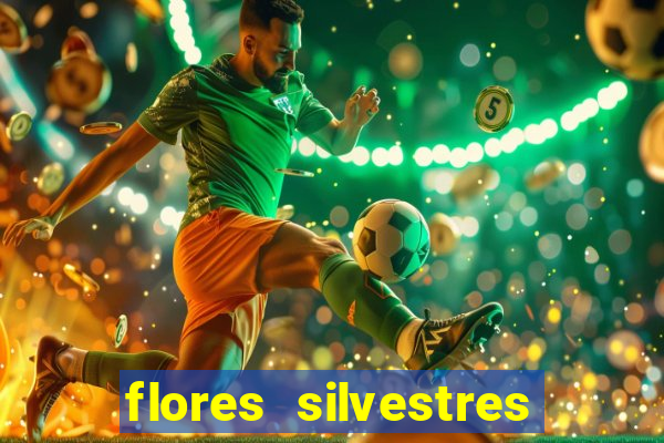 flores silvestres desbravadores desbravadores 25 flores silvestres e seus nomes