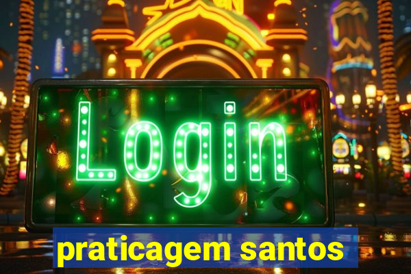 praticagem santos