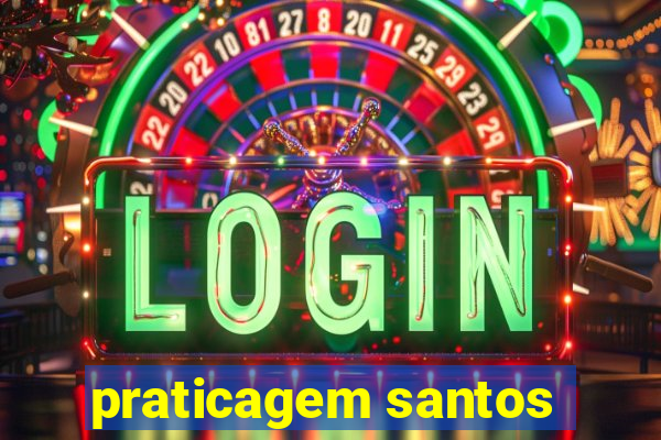 praticagem santos