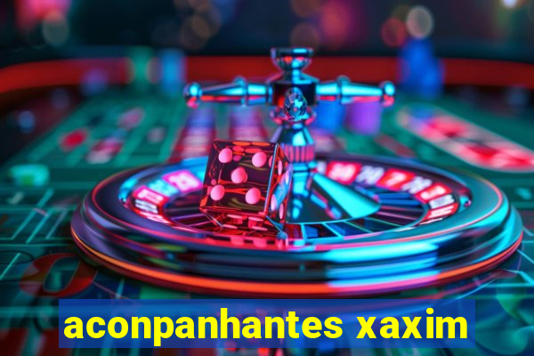 aconpanhantes xaxim