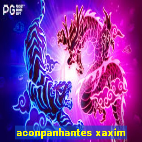 aconpanhantes xaxim