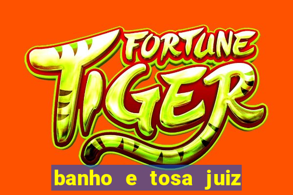 banho e tosa juiz de fora