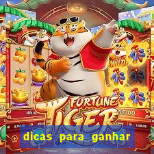 dicas para ganhar no fortune rabbit