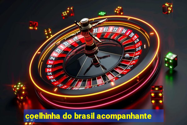 coelhinha do brasil acompanhante