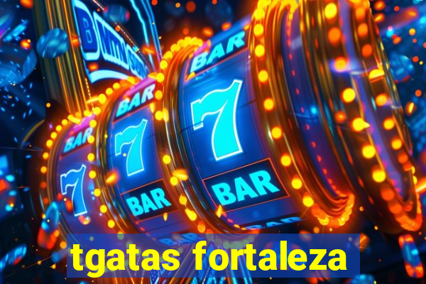 tgatas fortaleza