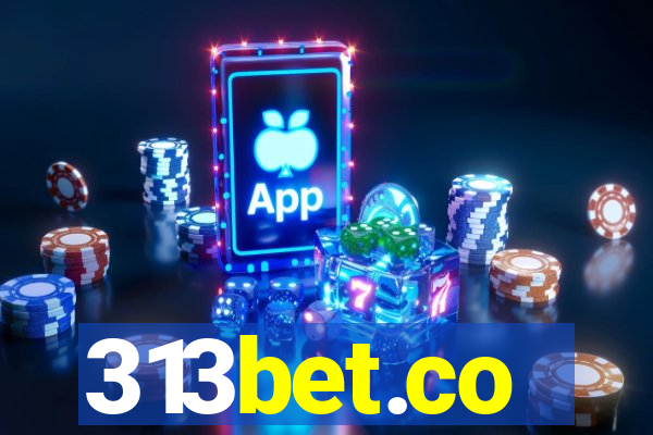 313bet.co