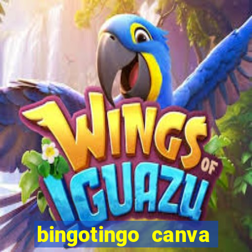 bingotingo canva pro gratis