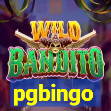 pgbingo