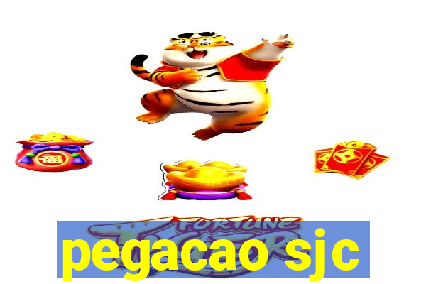 pegacao sjc