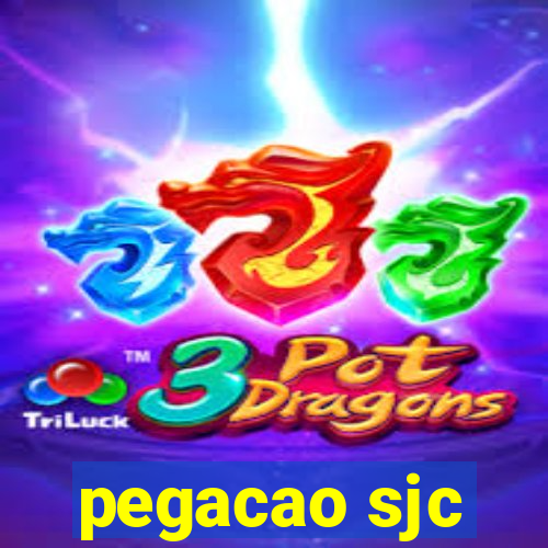 pegacao sjc