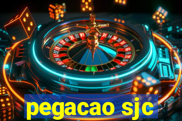 pegacao sjc