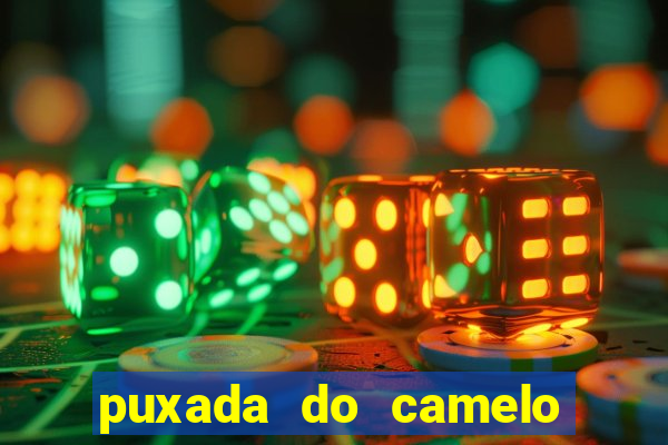 puxada do camelo no jogo do bicho