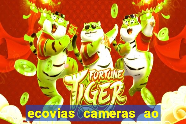 ecovias cameras ao vivo santos