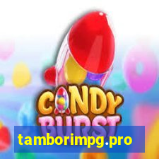 tamborimpg.pro