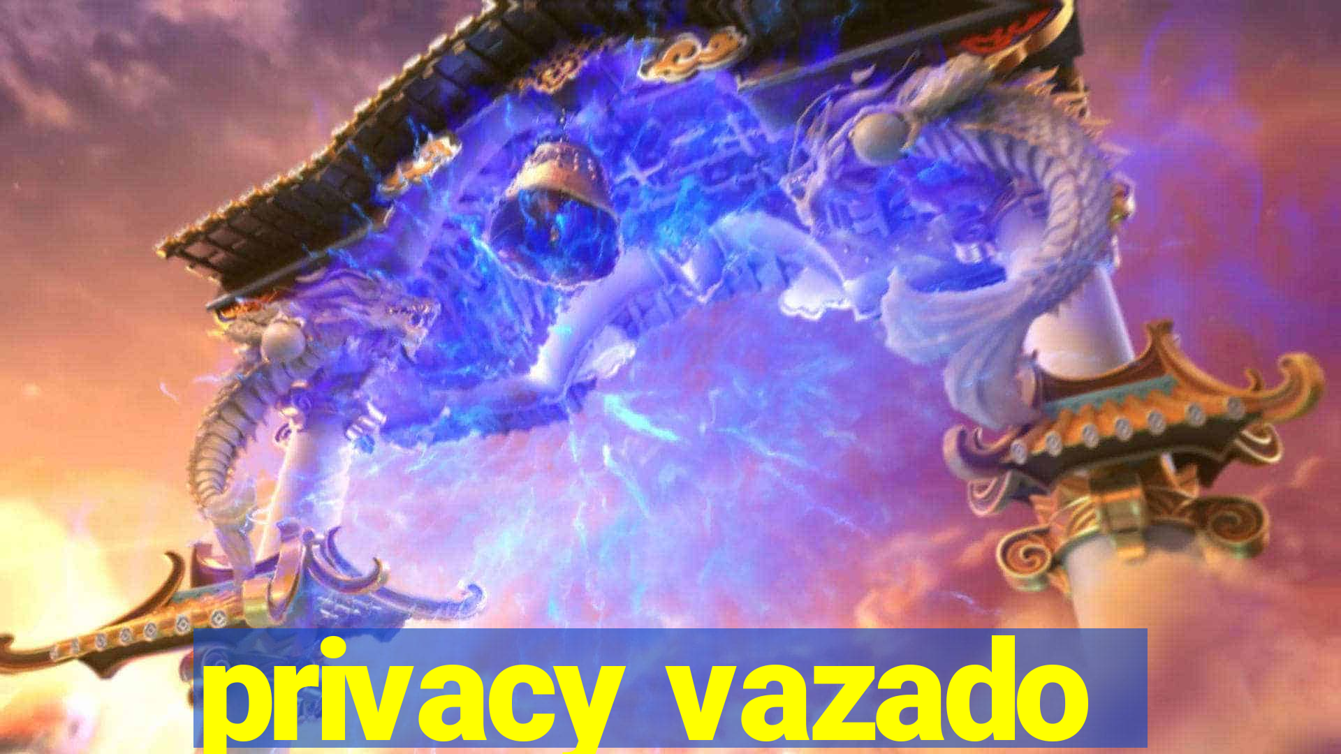 privacy vazado