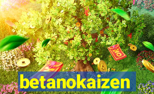 betanokaizen