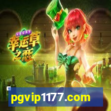 pgvip1177.com