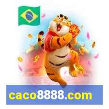 caco8888.com