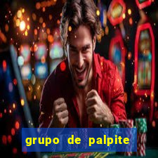 grupo de palpite de futebol telegram