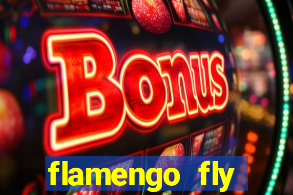 flamengo fly emirates ultimas noticias