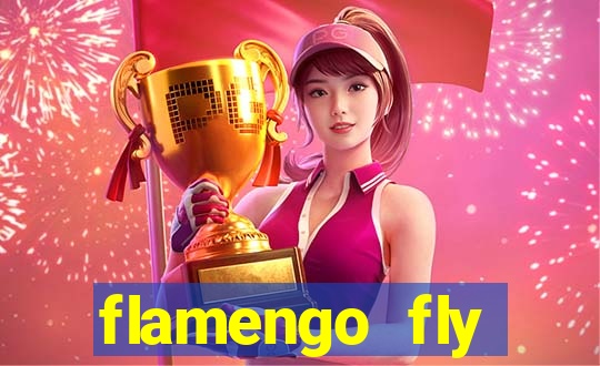 flamengo fly emirates ultimas noticias