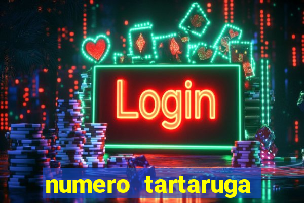 numero tartaruga jogo do bicho