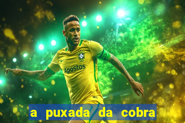 a puxada da cobra no jogo do bicho