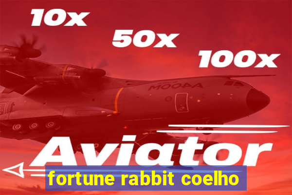 fortune rabbit coelho