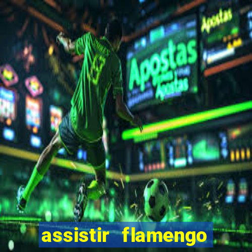 assistir flamengo futebol play hd