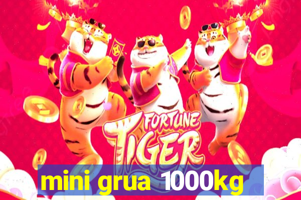 mini grua 1000kg