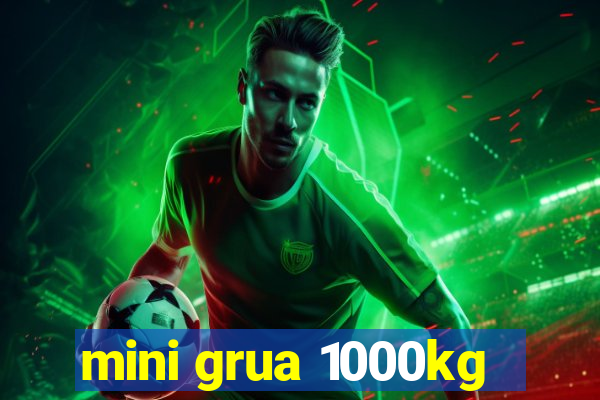 mini grua 1000kg