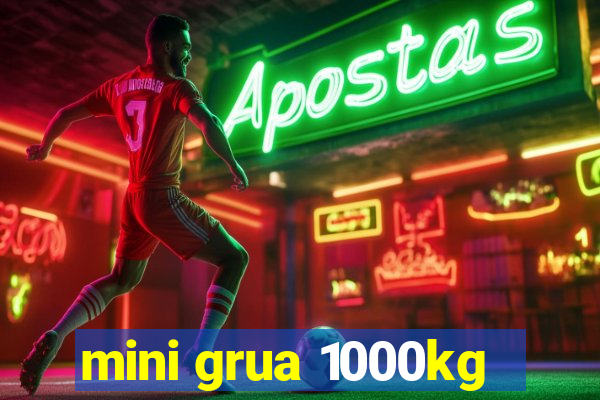 mini grua 1000kg