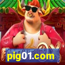 pig01.com