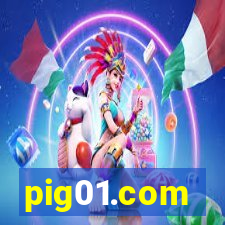 pig01.com