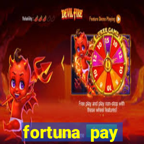 fortuna pay consultoria financeira ltda